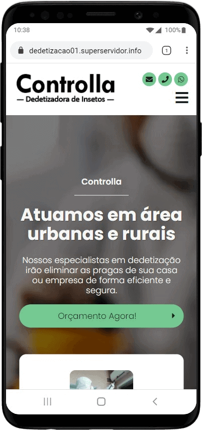 Projeto de site criado para empresas de detetização